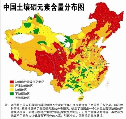 曹三玲:哪些食物中含有硒元素?-癌症百科